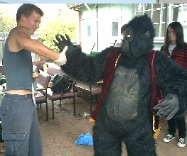 Popup Image